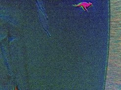 KangaROOS Funktionstights Seitlicher Kontraststreifen -KANGAROOS Verkäufe 7bdbba9b 01c4 502b a45b 9f2e84717bad